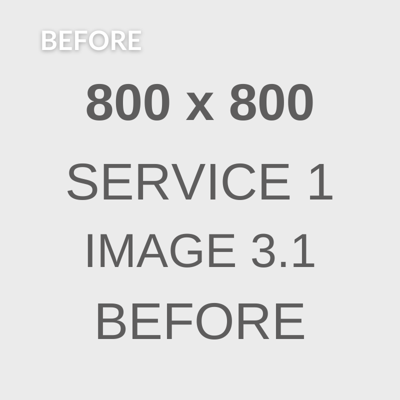 service1-image3_1-before